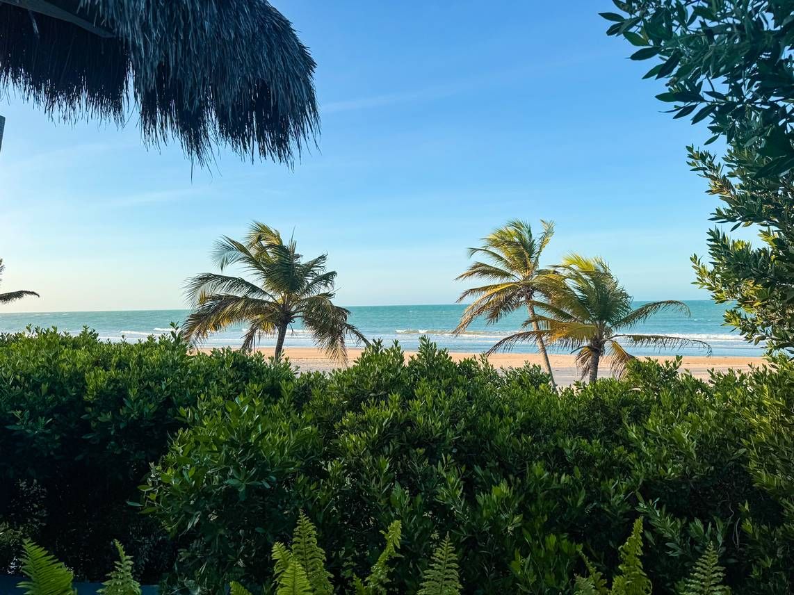 Conheça a Praia de Moitas