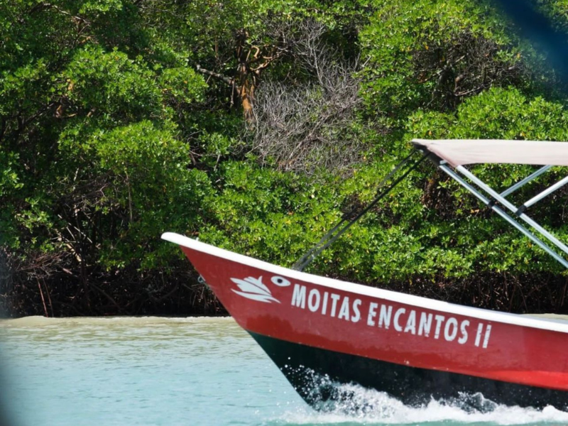 Agência Moitas Encantos