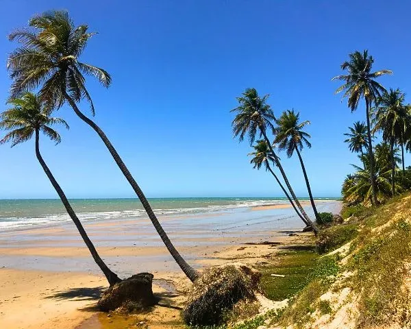 Praia de Caetanos — foto 1