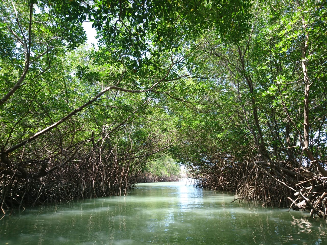 Praia de Moitas — foto 2