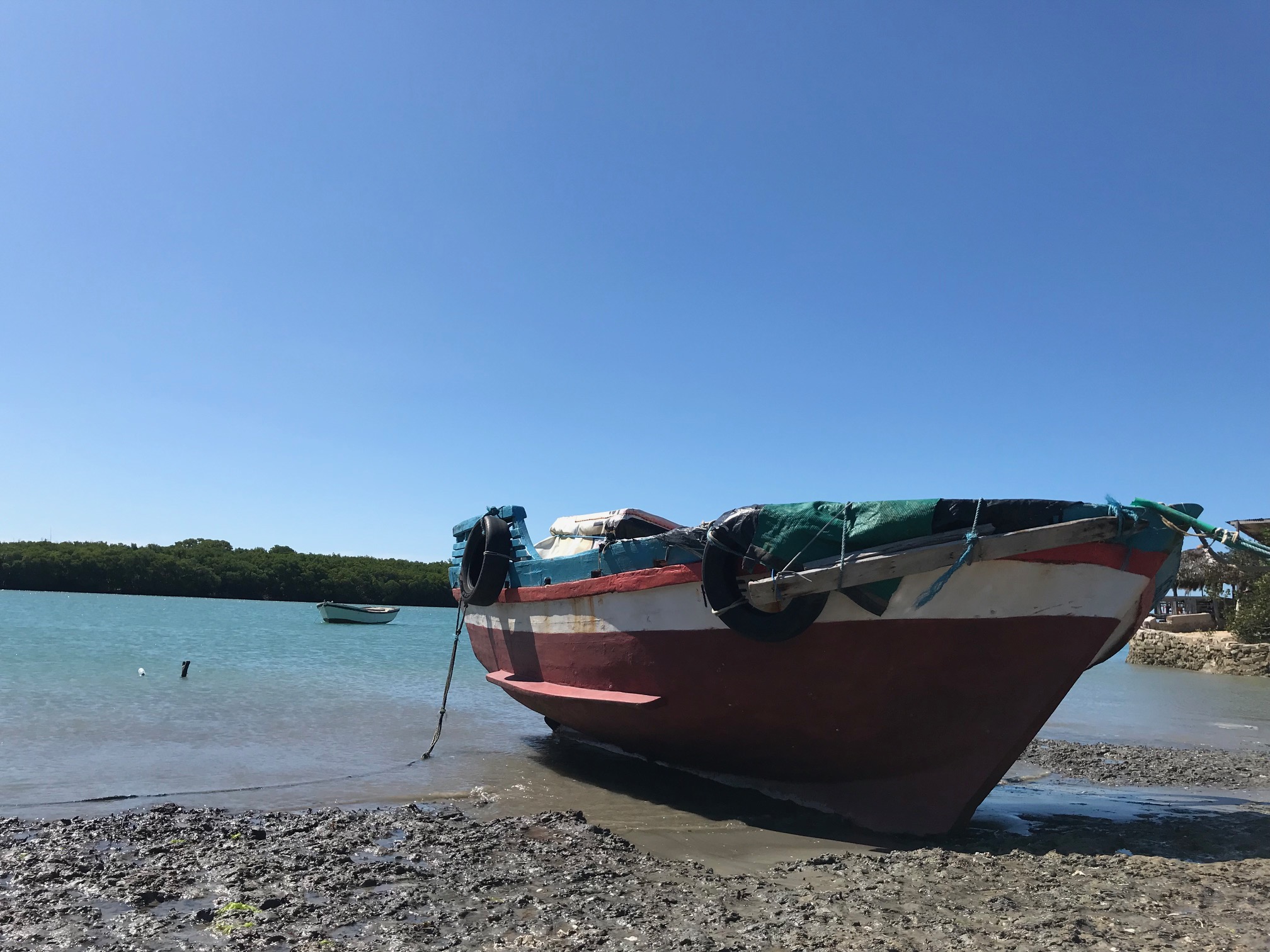Passeio de buggy pela região de Moitas — foto 8